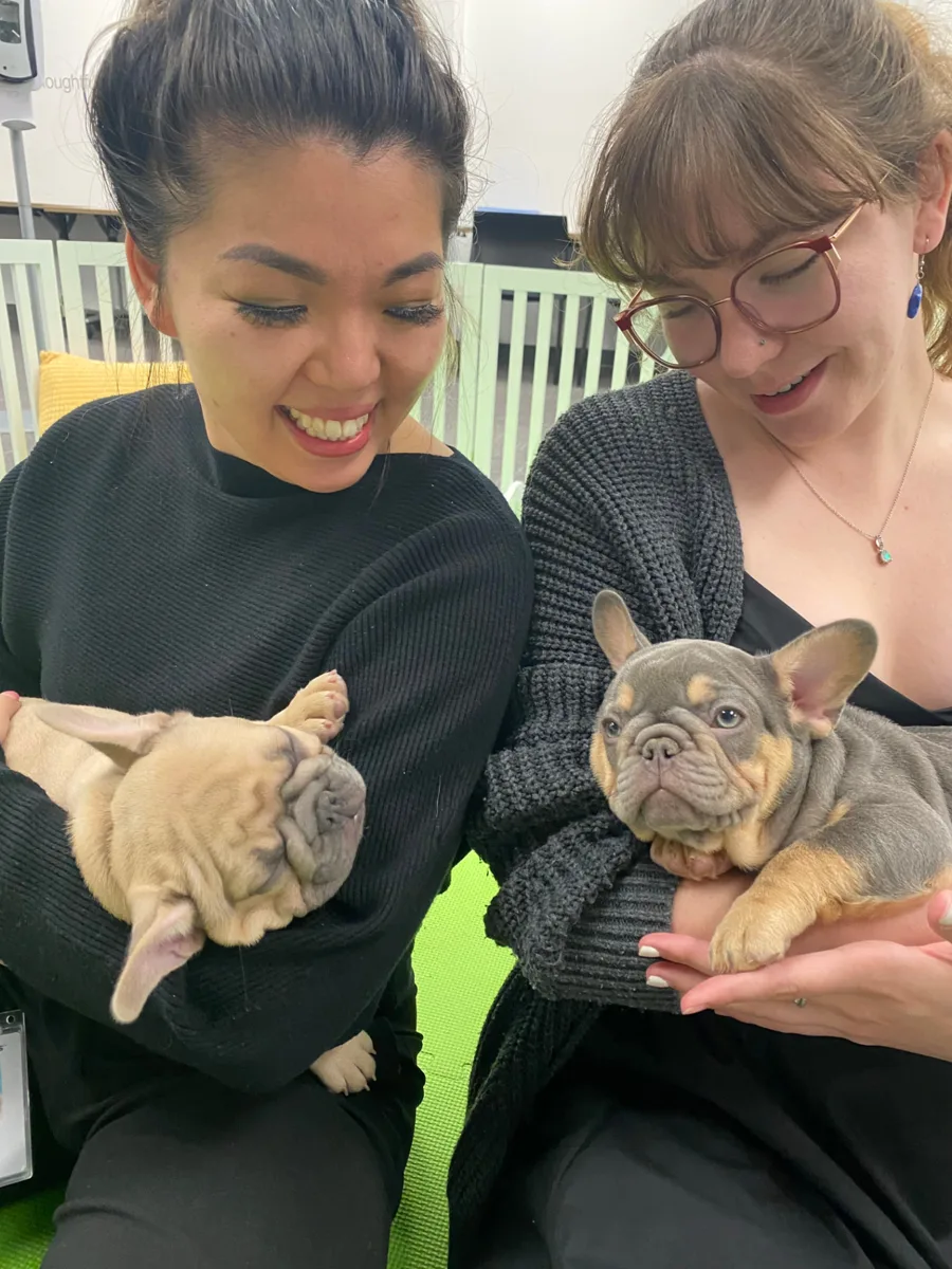 Employee enjoying time with a puppy at a Puppy Aura wellness lounge