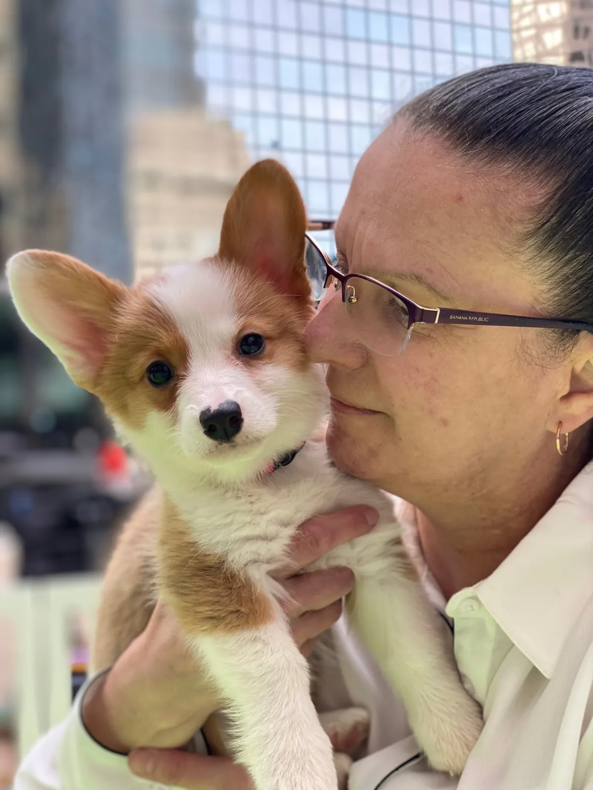Puppy at a corporate holiday event