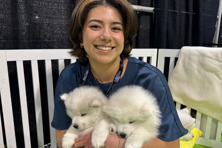 Team member holding two Samoyed puppies at the booth