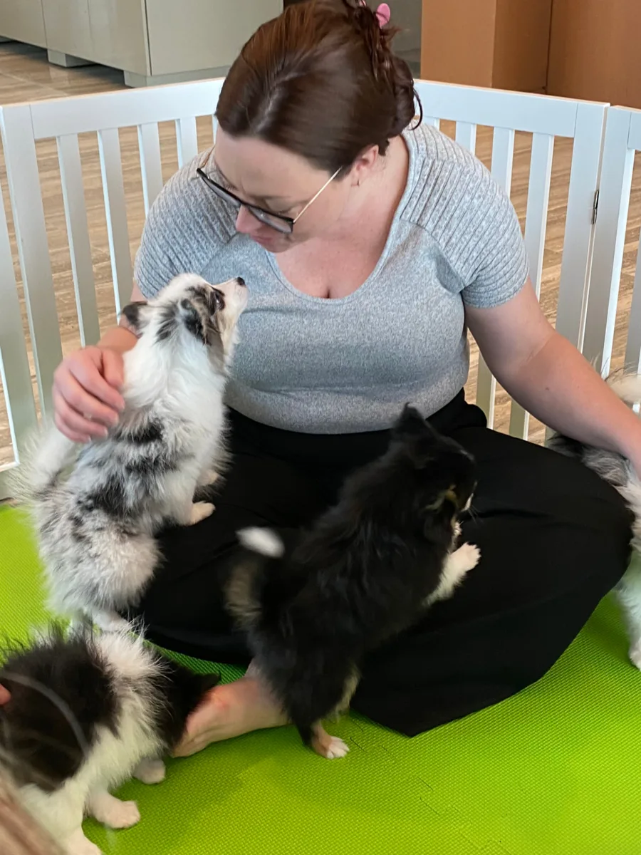 Coworkers bonding with puppies at a Puppy Aura lounge