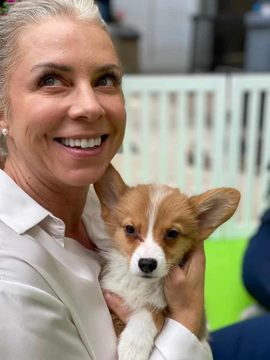 Puppies relaxing in the Puppy Aura lounge