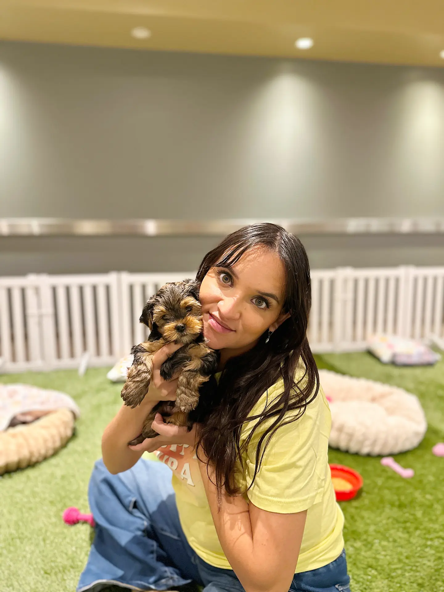 Guests enjoying a Puppy Aura puppy therapy session