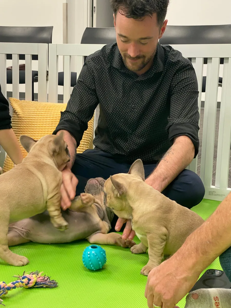 TELUS team with puppies at Puppy Therapy Day, photo 3