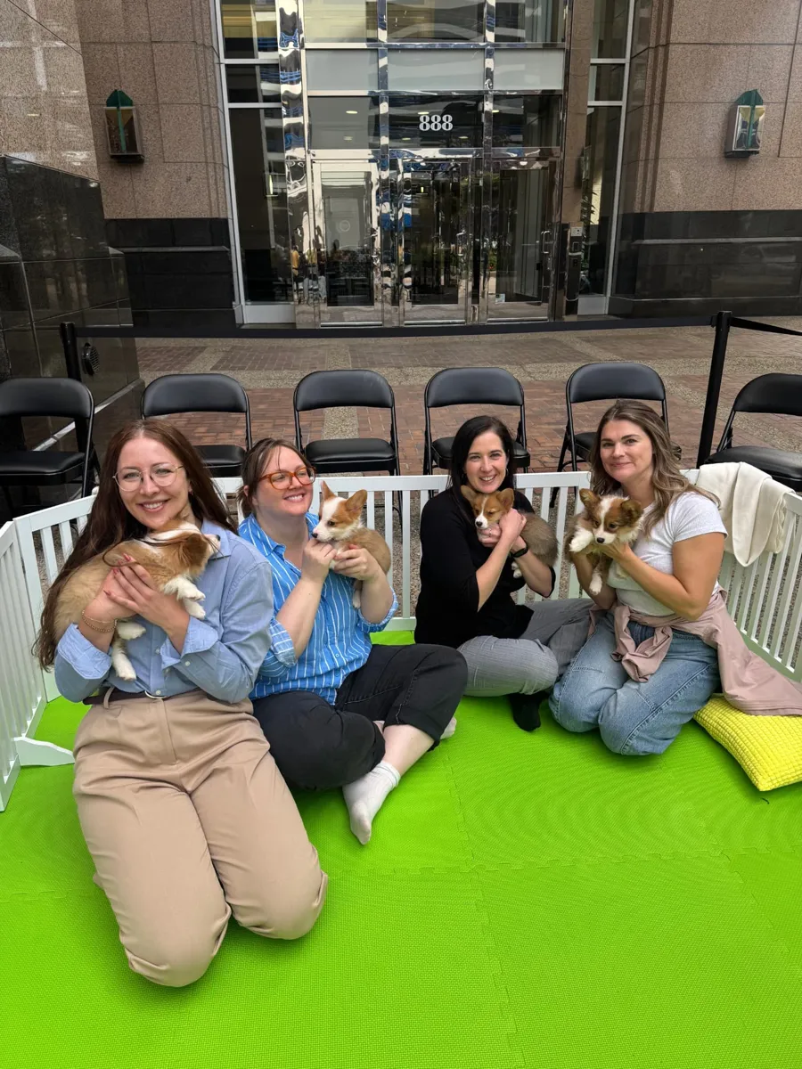 Office team holding corgi puppies in a Puppy Aura wellness lounge pen