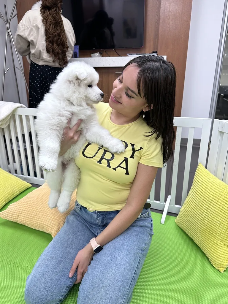 Puppy Aura team member holding a fluffy Samoyed puppy