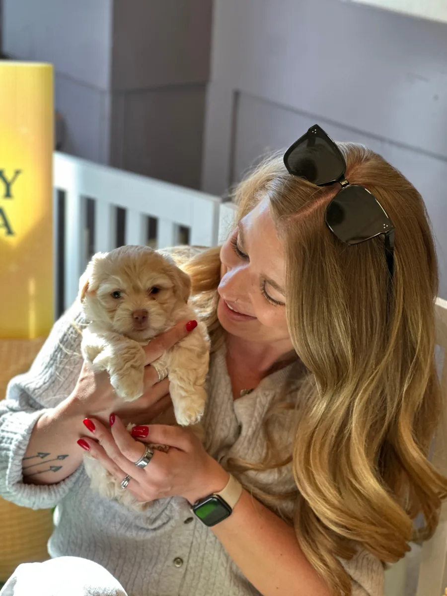 Puppy Aura wellness lounge set up inside a workplace