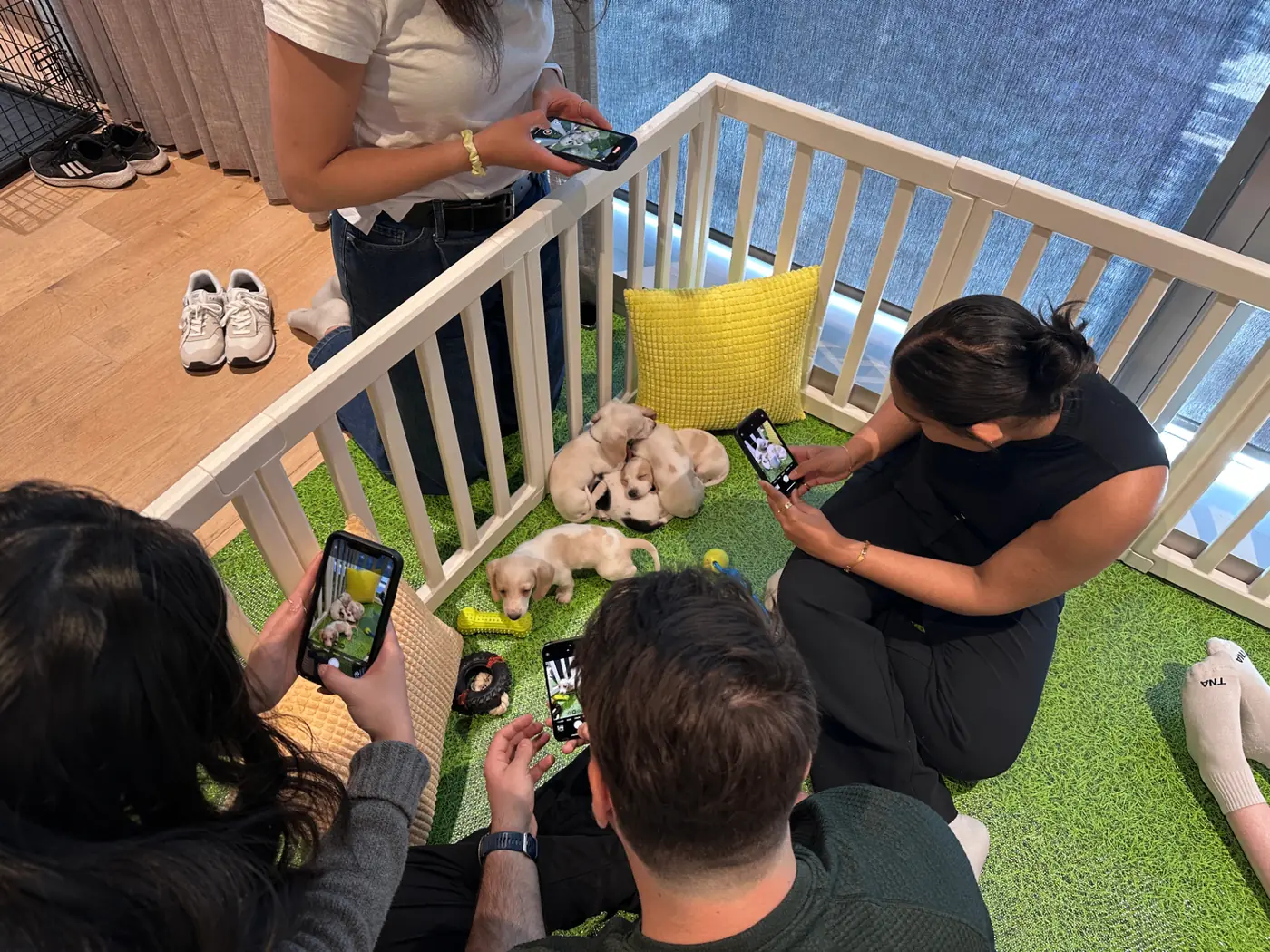 Guests spending time with puppies at Puppy Aura