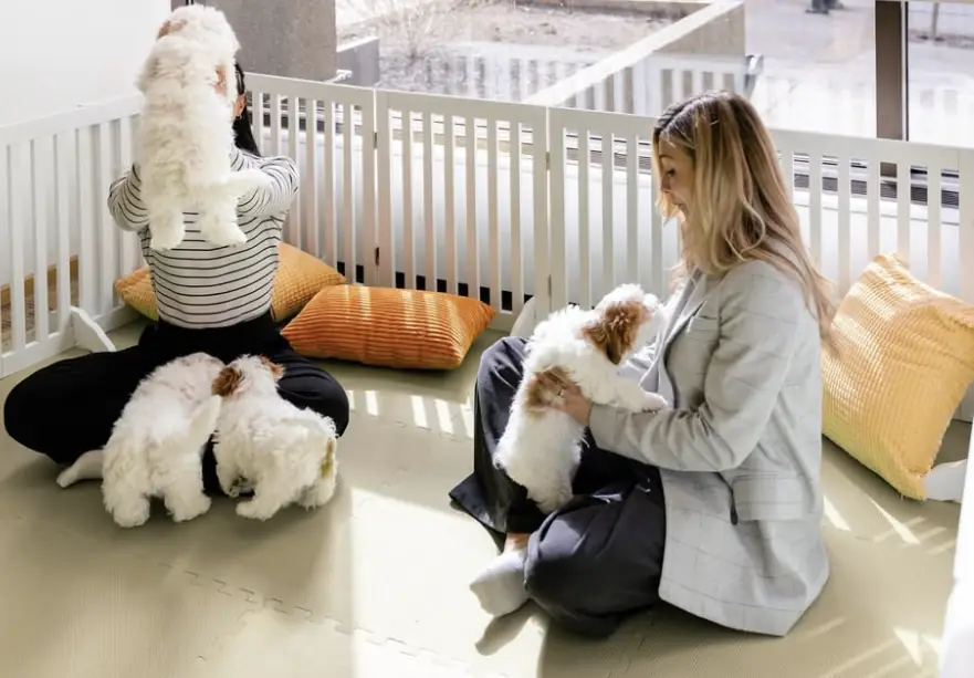 Wellness activation lounge at a conference